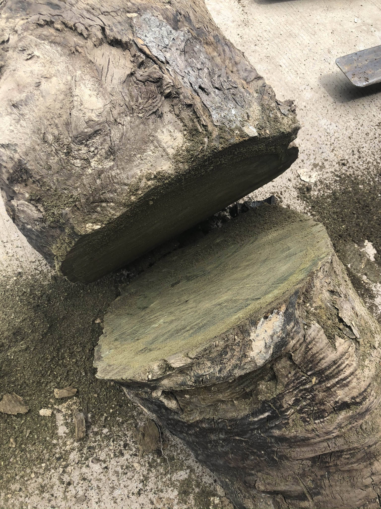 金丝楠乌木棺材适合土葬使用吗？整根阴沉木制作的棺材，土葬的**之选